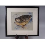 A A Mitchell: watercolours and gouache, mallard duck, 9 1/2" x 11", in black strip frame