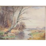 F H Walker: watercolours, backwater with silver birch, sheep and distant cottages, 10 1/2" x 14 1/