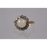 An 18ct gold, platinum, diamond and pearl cluster ring, size J, 3.7g