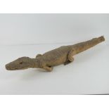 Taxidermy; a late 19thC juvenile alligator having glass eyes, a/f. Approx 75cm in length.