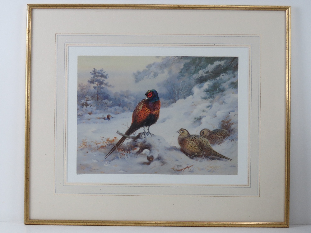 Print; Archibald Thorburn, a limited edition print of cock and hen Pheasants in snow, 620 of 850,