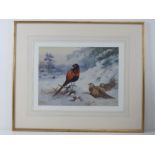Print; Archibald Thorburn, a limited edition print of cock and hen Pheasants in snow, 620 of 850,
