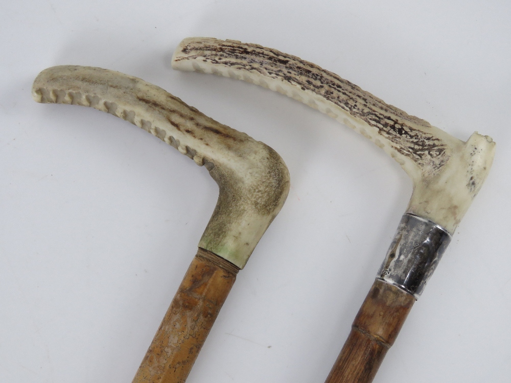 A pair of horn handled and bamboo riding crops one having HM silver collar, - Image 3 of 4