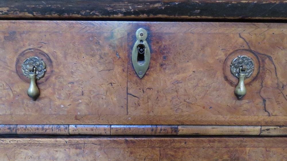 A superb walnut secretaire on chest having fine quality walnut cross banded fall front opening to - Image 8 of 9