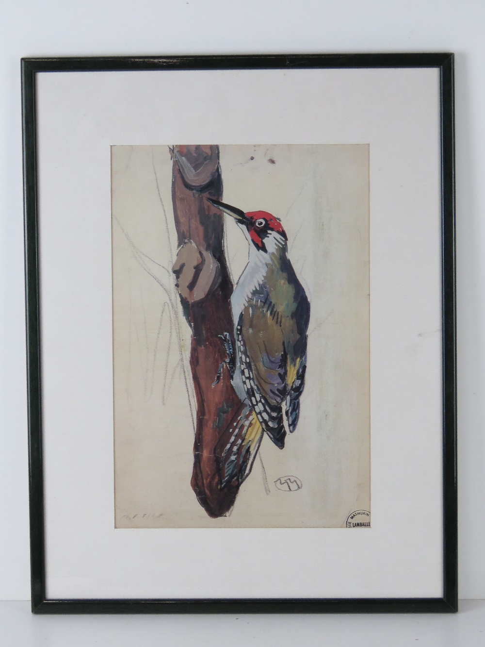 Print; a Continental study of a Green Woodpecker, 35 x 23cm.