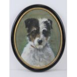 A watercolour study of a terrier, signed lower right and dated 1912, in oval frame,