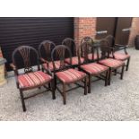 A good set of eight (6 + 2) mahogany din