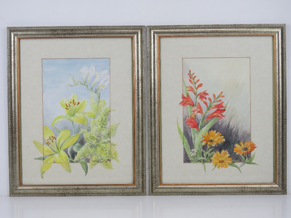 A pair of floral watercolours signed Wanda Sutton being Crocosmia and Gerbera, and Lillies, each