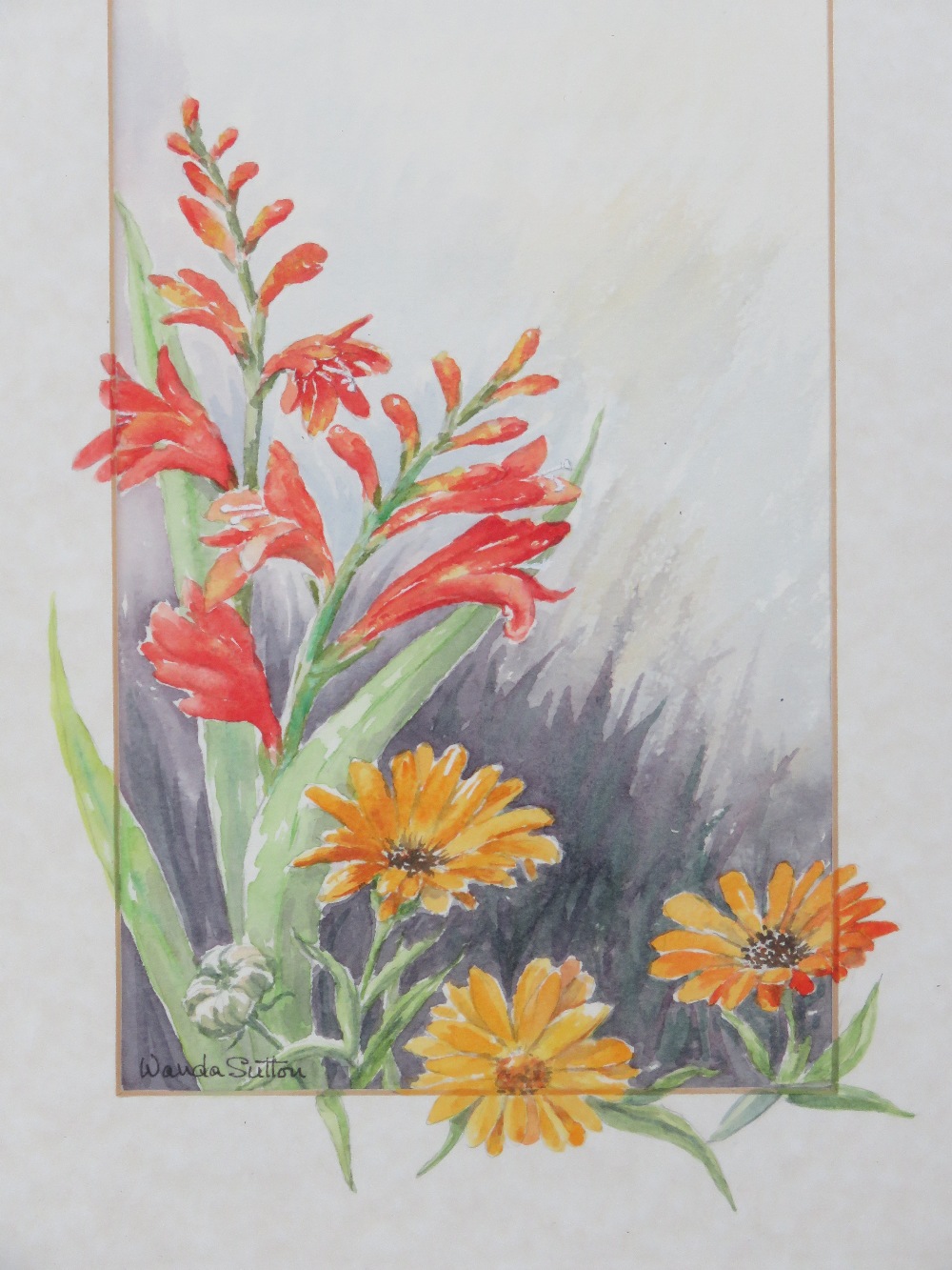 A pair of floral watercolours signed Wanda Sutton being Crocosmia and Gerbera, and Lillies, each - Image 4 of 4