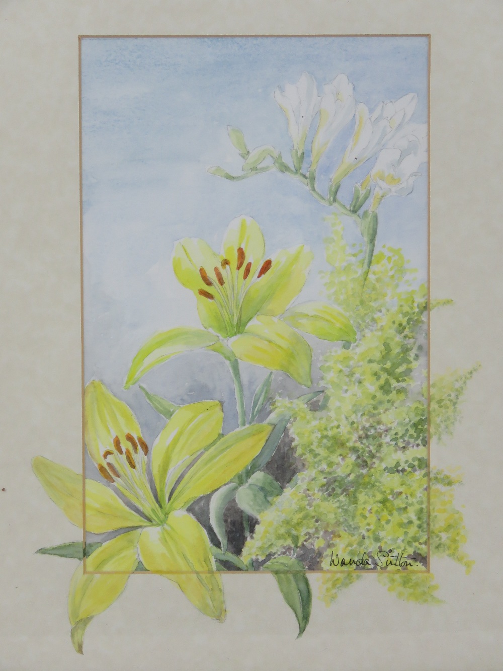 A pair of floral watercolours signed Wanda Sutton being Crocosmia and Gerbera, and Lillies, each - Image 2 of 4