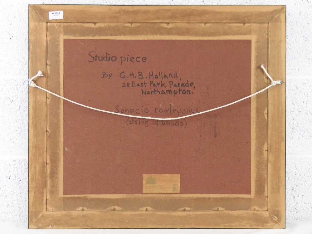 GHB (George) Holland (1901-1987), oil on board, a studio piece dated 1976 entitled 'Sewecio - Image 4 of 5