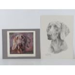 A signed limited edition David Barfield print of a Weimaraner, No 86/500,