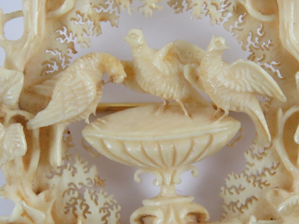 A superbly detailed 19th century carved ivory brooch having central Pliny doves stood upon a - Image 4 of 4