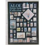 A framed Aloe postage stamp collection poster measuring 88 x 63cm.