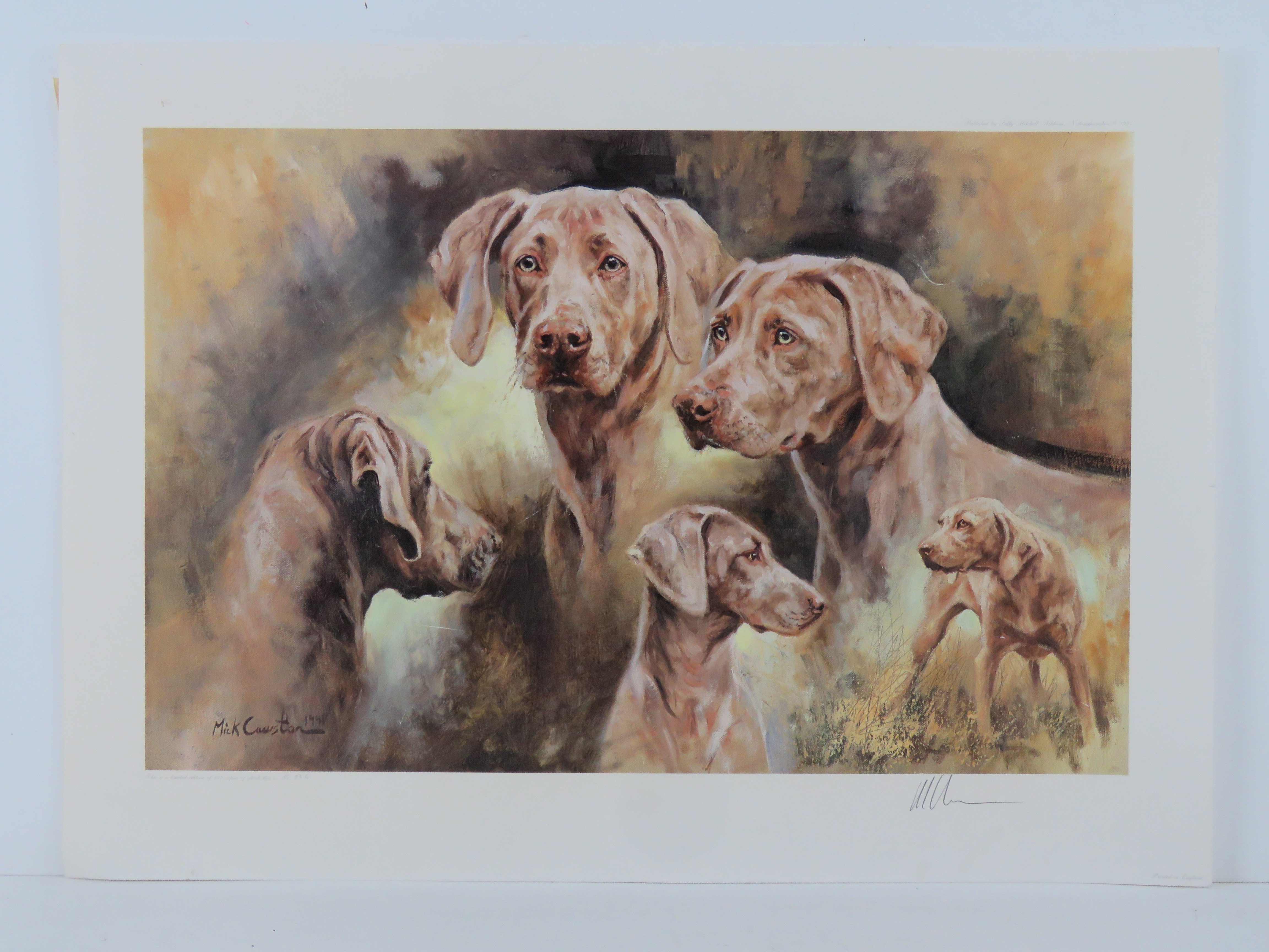 Two signed limited edition Mick Cawston prints of Weimaraners, the larger being No 566/850, - Image 2 of 7
