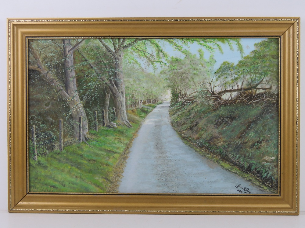 James R Gray; 'Country Road to Mountain Centre' dated 1986, an original painting signed lower right,