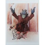 Warwick Davis autograph; a hand signed S