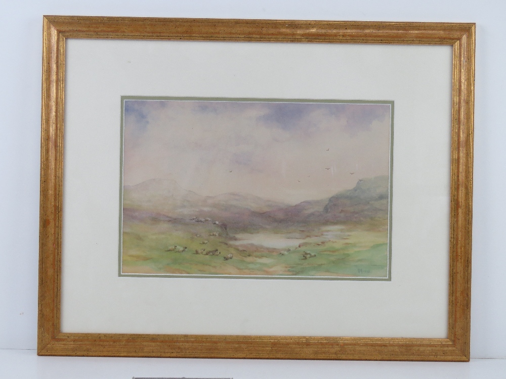 Watercolour; sheep grazing in field, mou