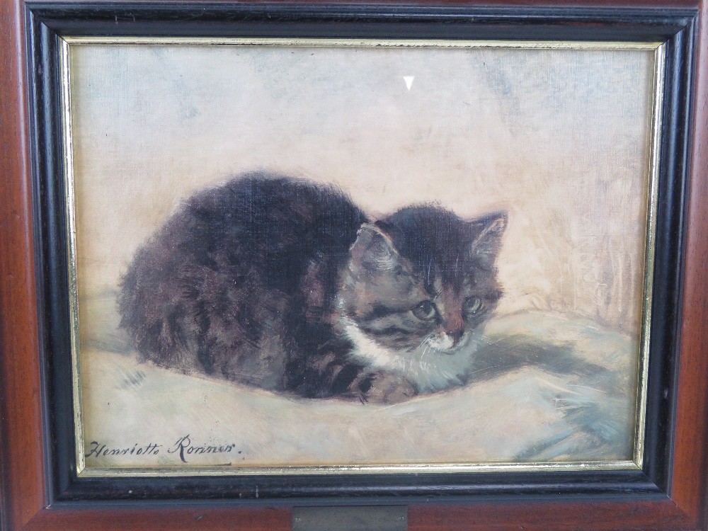 Print; a pretty kitten by Henrietta Ronn - Image 2 of 5