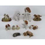 A quantity of assorted dog figurines, mostly King Charles Spaniels, various makes,