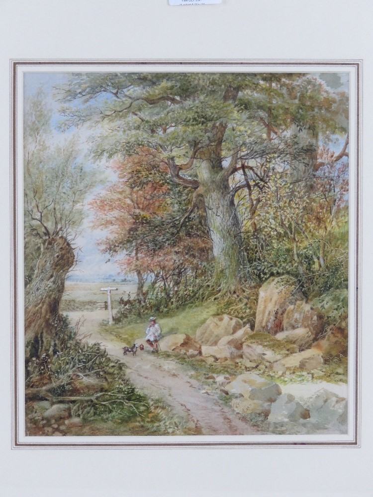 Watercolour; Attributed to William John