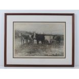 A signed limited edition print of cattle