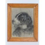 Birch XIX Canine School Charcoal and chalk Portrait of a circa 1840 favourite dog wearing a wide