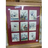 NINE CHINESE WATERCOLOURS OF BIRDS FRAMED AS ONE EACH 12 X 10cms. TOGETHER WITH A HUMOROUS PRINT