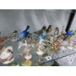 A COLLECTION OF BIRD FIGURINES TO INCLUDE DRESDEN AND OTHER GERMAN EXAMPLES