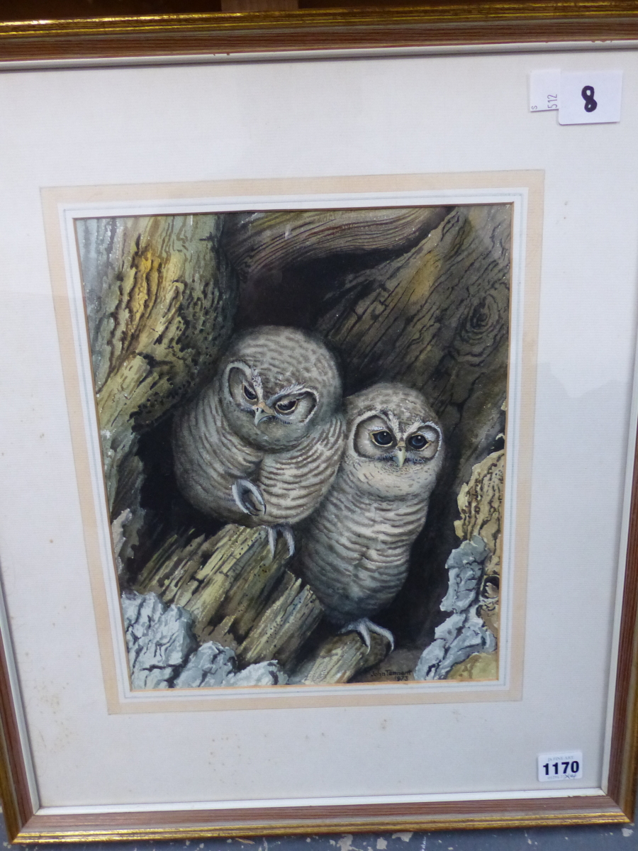 JOHN TENNENT, (20th C.) ARR. TWO OWLS SIGNED WATERCOLOUR, 31X20cms, TOGETHER WITH THREE ANIMAL