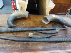 VARIOUS GAZELLE HORNS AND A PAIR OF COW HORNS.