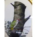 AN OVAL WATERCOLOUR OF A WOODPECKER TOGETHER WITH VARIOUS DECORATIVE PAINTINGS, WATERCOLOURS AND