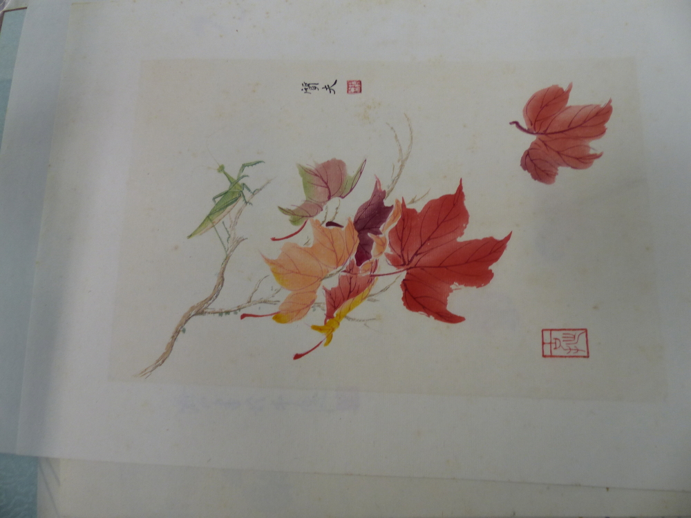 A LARGE COLLECTION OF UNFRAMED ORIENTAL PICTURES INCLUDING FOLDERS AND PORTFOLIO CASES, SIZES VARY. - Image 45 of 135