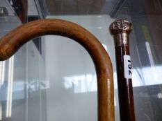 A SILVER MOUNTED WALKING CANE AND ONE OTHER.