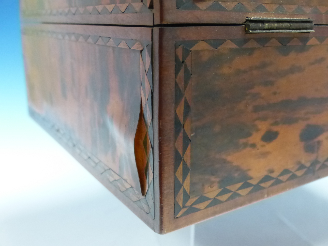 A 19th C. INDIAN TORTOISESHELL SPICE BOX, THE VENEERS ON THE RECTANGULAR LID DIVIDED BY EBONY AND - Image 18 of 21