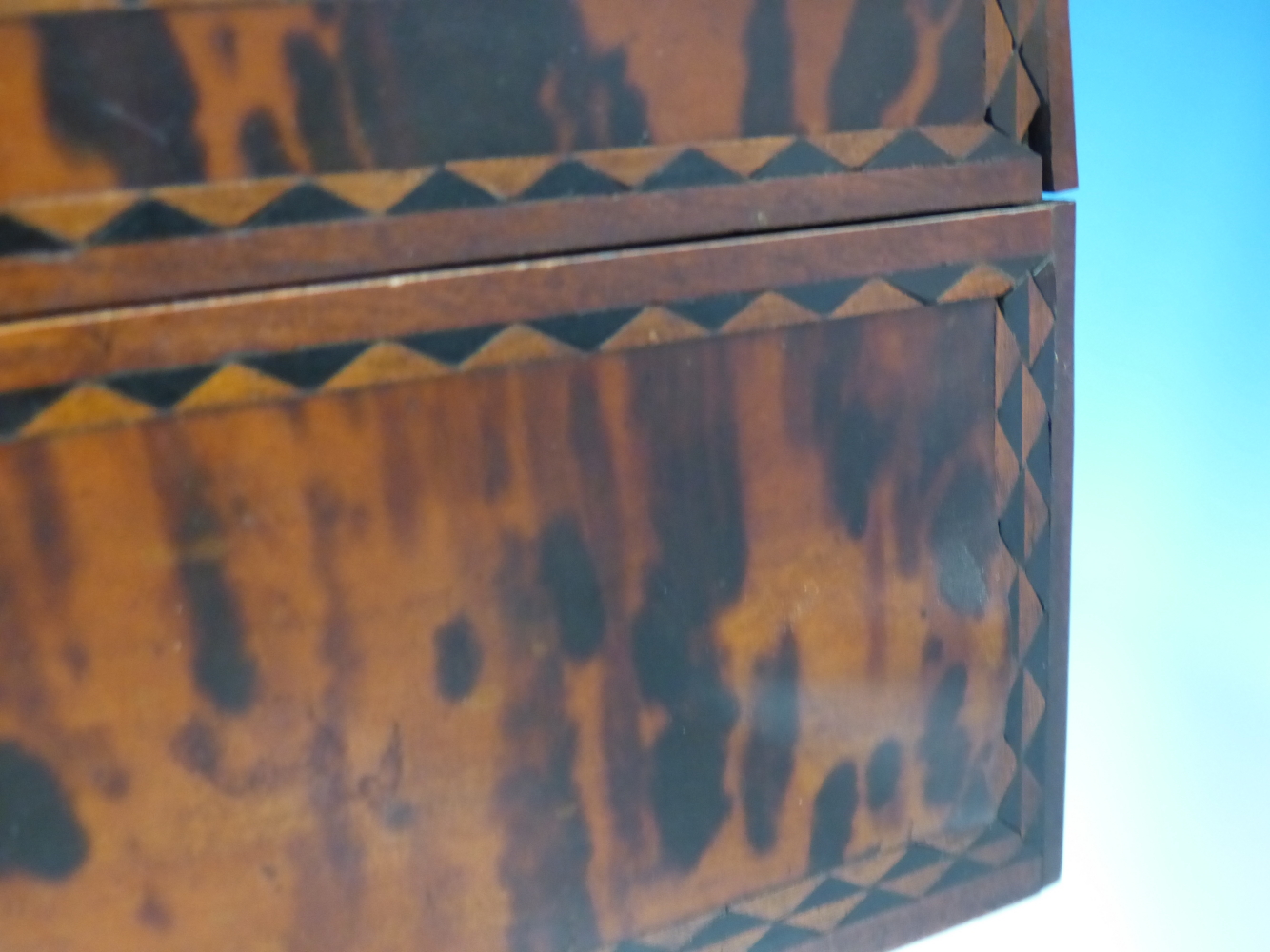 A 19th C. INDIAN TORTOISESHELL SPICE BOX, THE VENEERS ON THE RECTANGULAR LID DIVIDED BY EBONY AND - Image 16 of 21