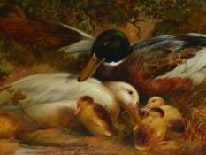 W.WATSON (19th.C. ENGLISH SCHOOL). 'A FAMILY OF DUCKS', SIGNED, OIL ON CANVAS IN A SHAPED FRAME.