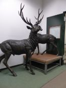 A PAIR OF LIFE SIZE BRONZE STANDING FIGURE OF A STAG AND OF A DOE, HER HEAD FACES OVER HER BACK, THE