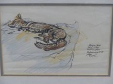 JOHN BRATBY (1928-1992). ARR. FROZEN FOX, SIGNED AND INSCRIBED COLOUR PENCIL, 20 x 28cms.