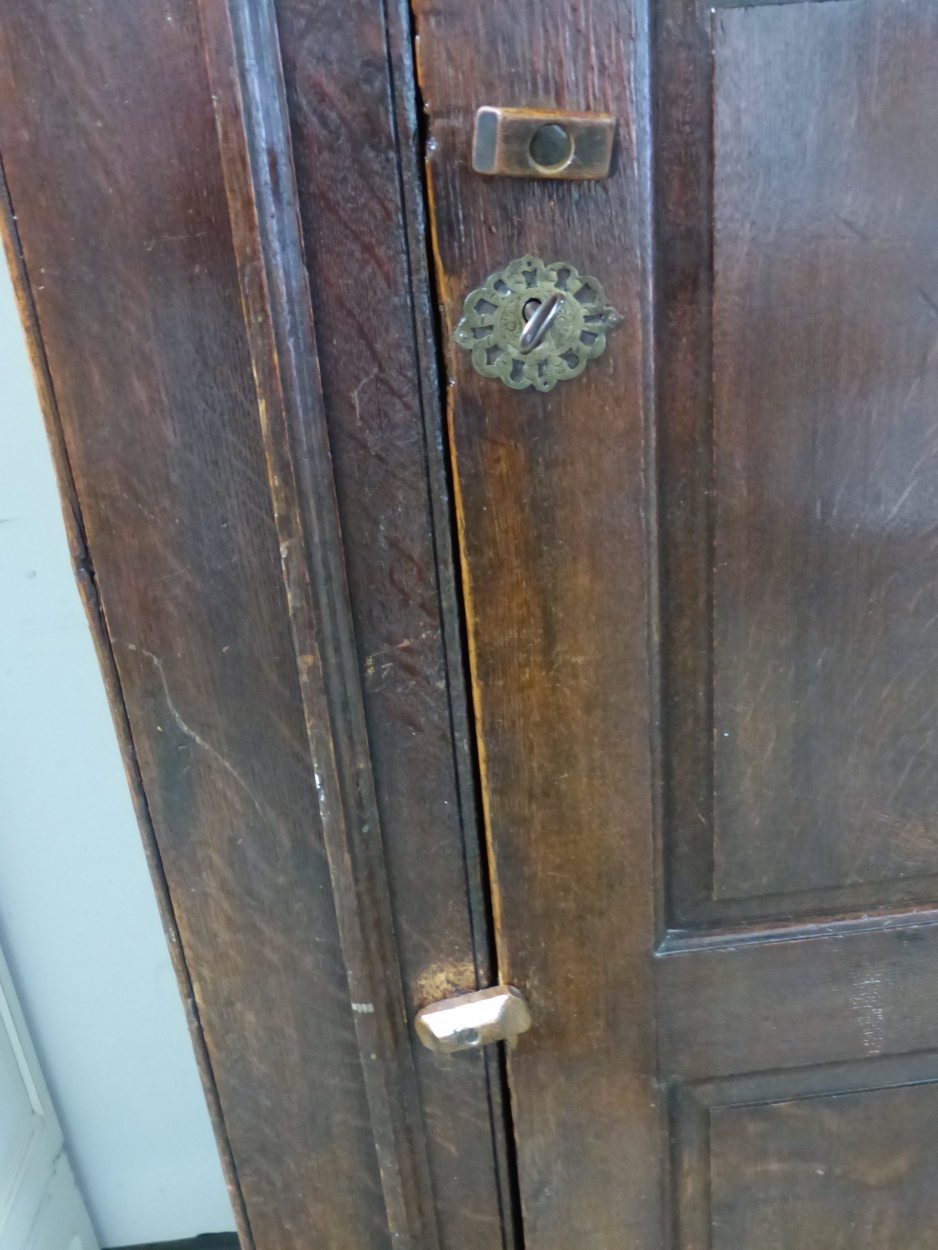 AN 18th C. OAK CUPBOARD WITH THE THREE PANELLED DOOR ENCLOSING HANGING SPACE ABOVE A SHELF AND THE - Image 6 of 10