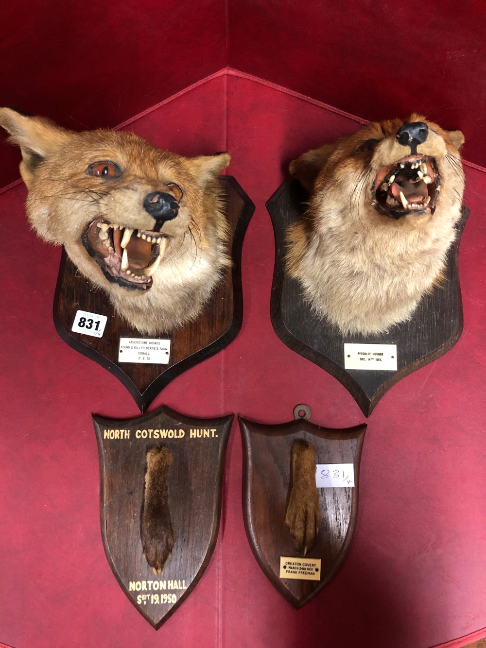 TWO OAK SHIELD MOUNTED FOX MASKS TOGETHER WITH TWO PADS, THE LATTER SHIELDS AND ONE FOX MASK