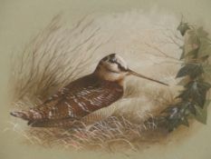 RAYMOND C. WATSON (1935-1994). ARR. A WOODCOCK, SIGNED WATERCOLOUR,34 x 43cms.