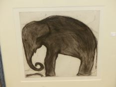 CONTEMPORARY SCHOOL. LIMITED EDITION PENCIL SIGNED ETCHING OF AN ELEPHANT, 37 x 37cms.