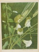 AFTER PATRICK A OXENHAM (1922-1996) ARR. HARVEST MICE, PENCIL SIGNED LIMITED EDITION COLOUR PRINT,