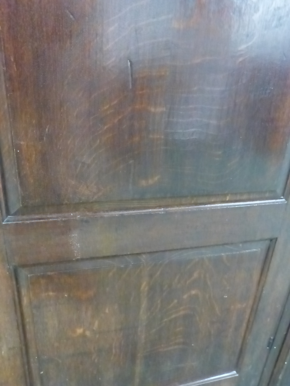 AN 18th C. OAK CUPBOARD WITH THE THREE PANELLED DOOR ENCLOSING HANGING SPACE ABOVE A SHELF AND THE - Image 5 of 10