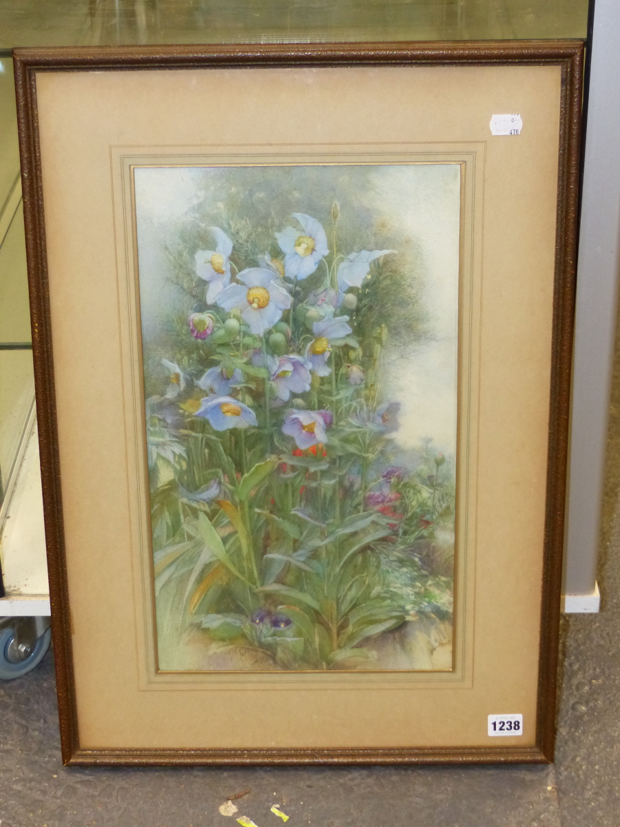 JAMES VALENTINE JELLEY (1856-1943). STUDY OF MEADOW FLOWERS, SIGNED, WATERCOLOUR, 46 x 26cms. - Image 2 of 6