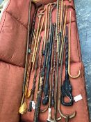 A COLLECTION OF TWENTY THREE VARIOUS WALKING CANES AND STICKS