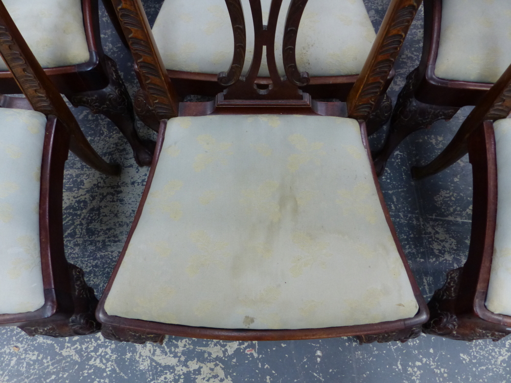 A SET OF SIX GOOD 18th.C. STYLE MAHOGANY DINING CHAIRS WITH PIERCED CARVED BACKS OVER CABRIOLE FORE - Image 6 of 8
