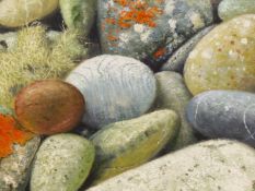 CONTEMPORARY SCHOOL. ROCKS AND MOSS, SIGNED INDISTINCTLY, OIL ON CANVAS, 50 x 50cms.