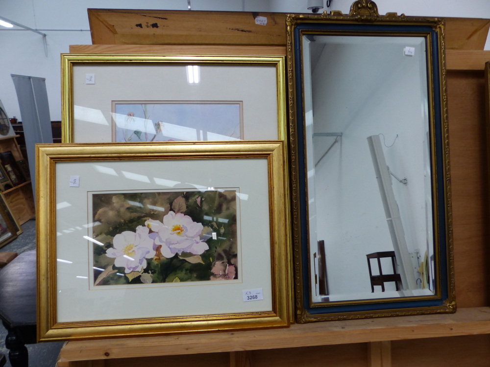 MARILYN REES (CONTEMPORARY). ARR. TWO FLOWER STUDIES, SIGNED WATERCOLOURS. LARGEST 34 x 25cms.